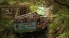 Scenic Railway