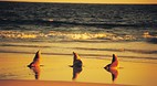 Seal Bay