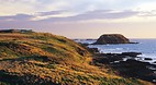 Seal Rocks