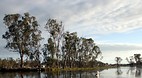 Shepparton