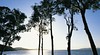 Shoal Bay