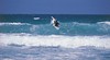 Shoalhaven Heads