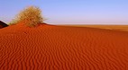 Simpson Desert