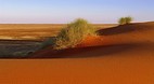 Simpson Desert