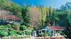 Spring Bluff