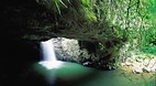Springbrook