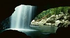 Springbrook