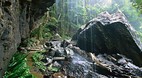 Springbrook