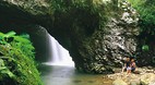 Springbrook