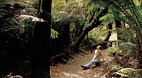 St Columba Falls Res..
