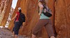 Stanley Chasm