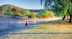 Stanthorpe