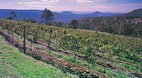 Stanthorpe