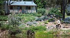Stanthorpe