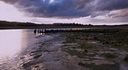 Tamar Island