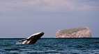 Tasman Peninsula