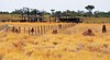 Tennant Creek Telegraph Station