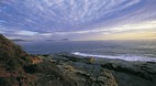 Terrigal