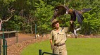Territory Wildlife P..