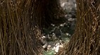 Territory Wildlife P..
