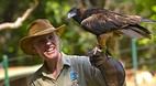 Territory Wildlife P..