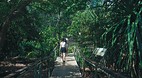 Territory Wildlife P..