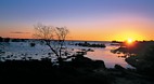 Thargomindah