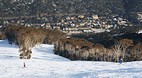 Thredbo