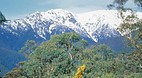 Thredbo