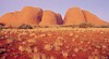 Uluru Kata Tjuta