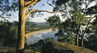 Umina