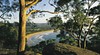 Umina