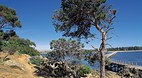 Victor Harbor