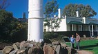 Wallaroo