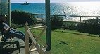 Wallaroo
