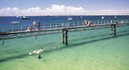 Wallaroo