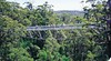 Walpole-Nornalup National Park