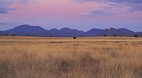 Warrumbungle Nationa..