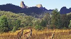Warrumbungle Nationa..