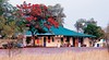 Wauchope