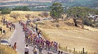 Willunga
