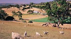 Willunga
