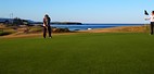 Wollongong