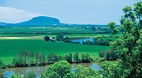 Yandina