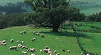 Yankalilla