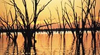 Yarrawonga