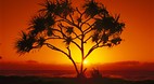 Yeppoon