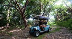 Bimini Nature Trail