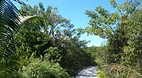 Bimini Nature Trail