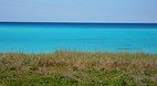 Bimini Nature Trail